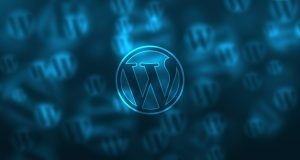Site web - wordpress
